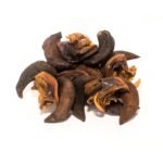 dried snail