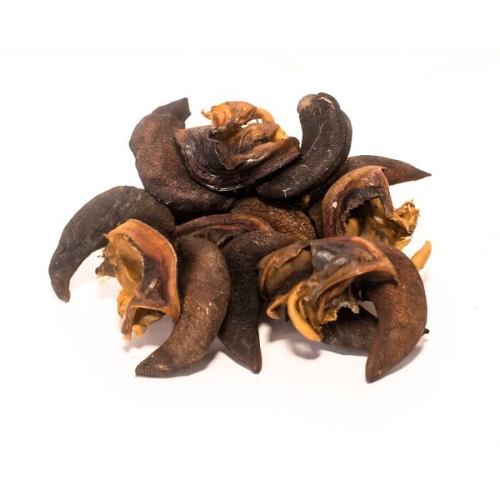 dried snail